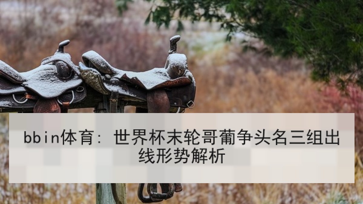 bbin体育: 世界杯末轮哥葡争头名三组出线形势解析