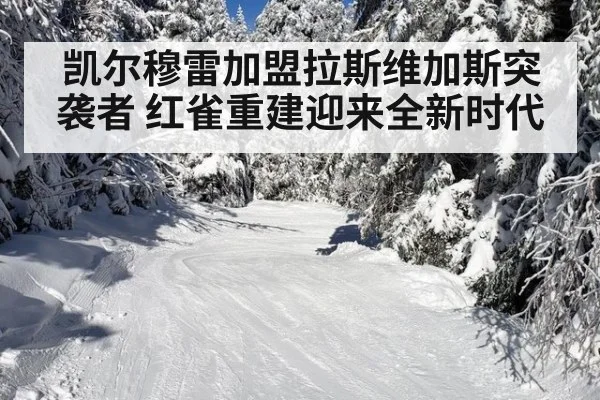 凯尔穆雷加盟拉斯维加斯突袭者 红雀重建迎来全新时代